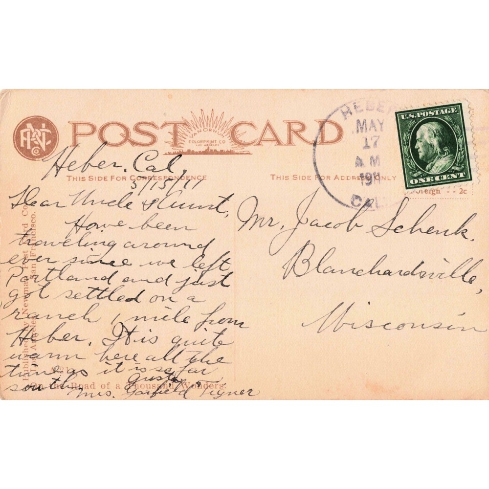 Vintage 1911 Los Angeles Ostrich Farm Postcard Eastlake Park California VG - Picture 2 of 2
